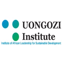 COMMUNICATIONS MANAGER at UONGOZI Institute May, 2019