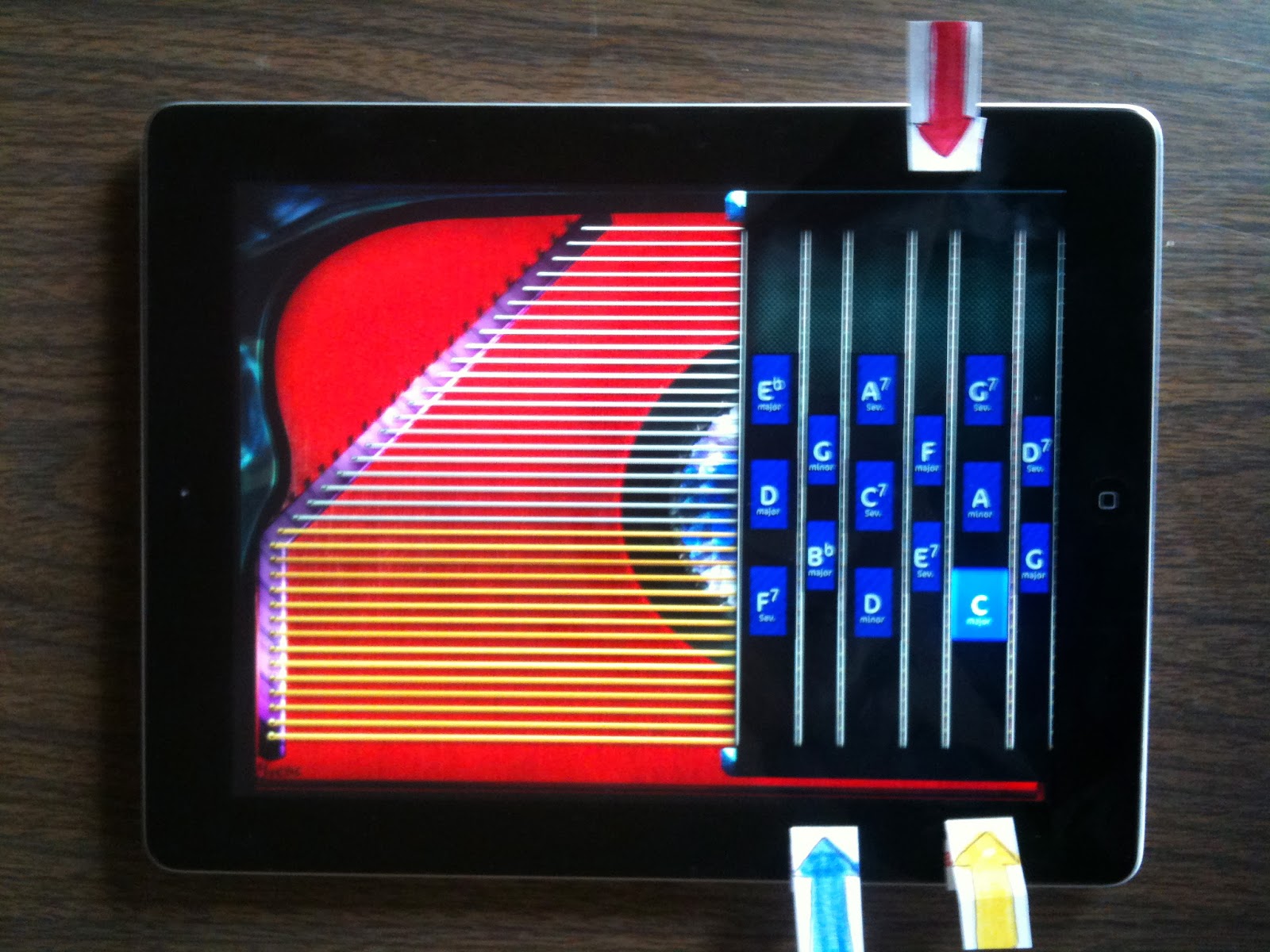 Making Musicians Practicing Autoharp at Home