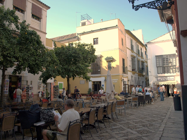 Sevilla Daily Photo La Plaza de los Venerables.