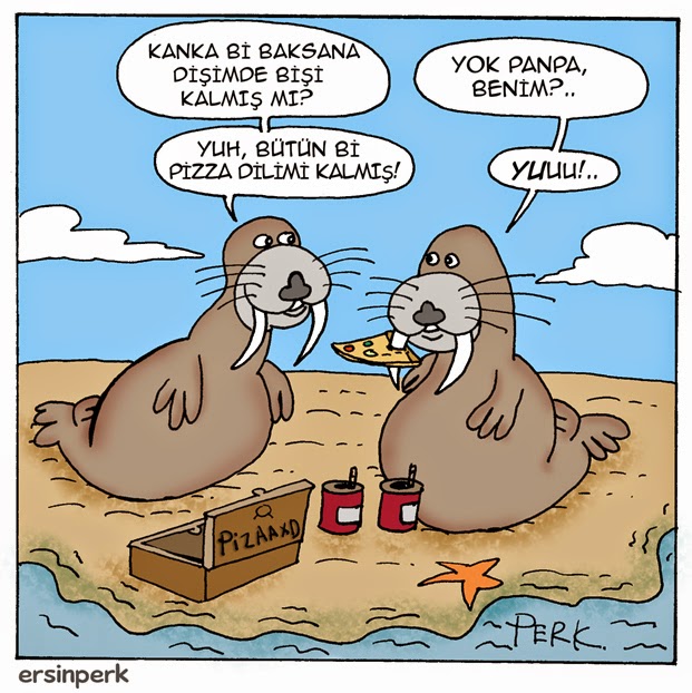 ersin perk karikaturleri fok baligi