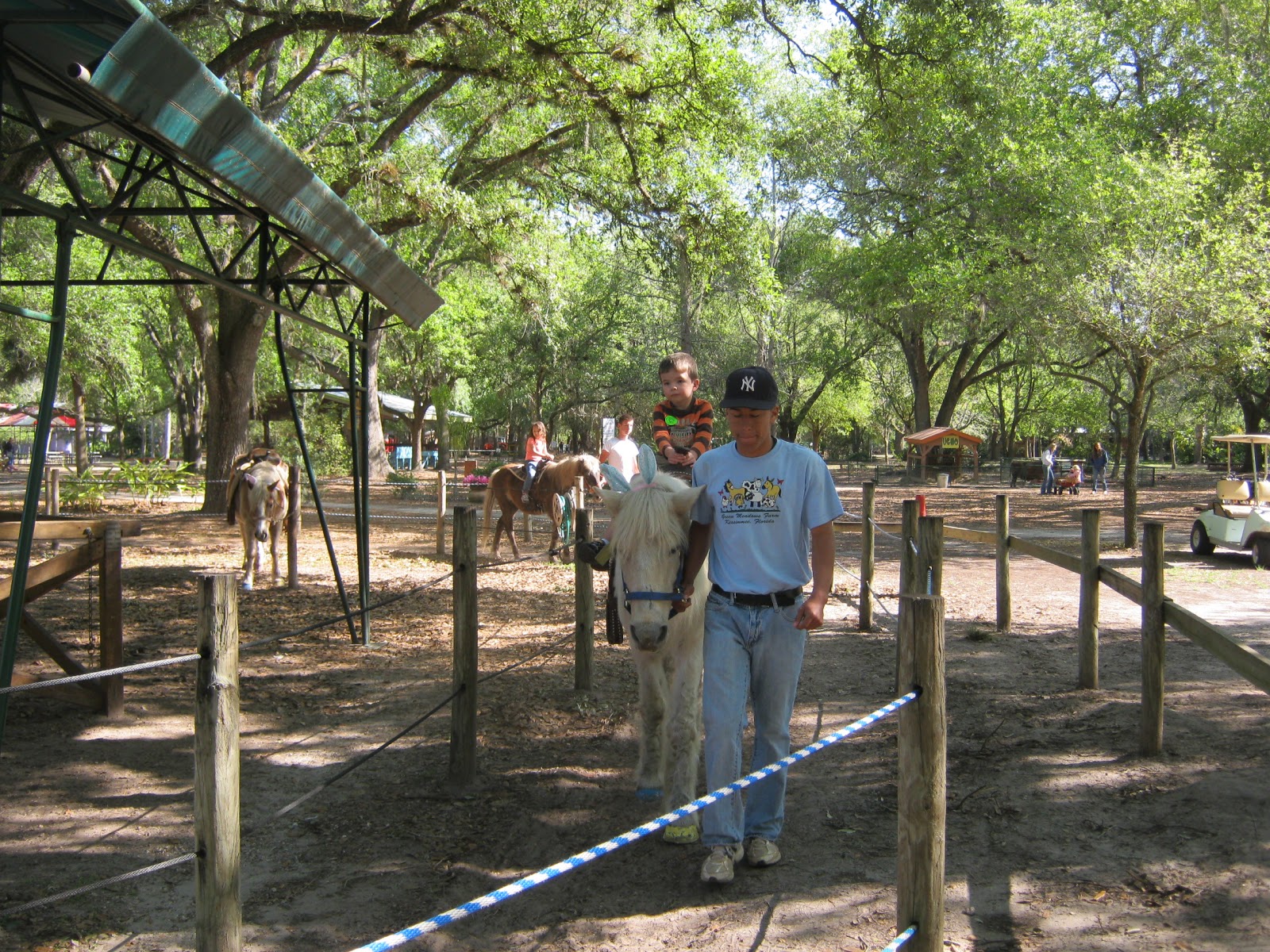 News from David & Samantha Easter Weekend Green Meadows Farm