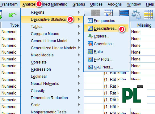 Thống kê mô tả trên SPSS