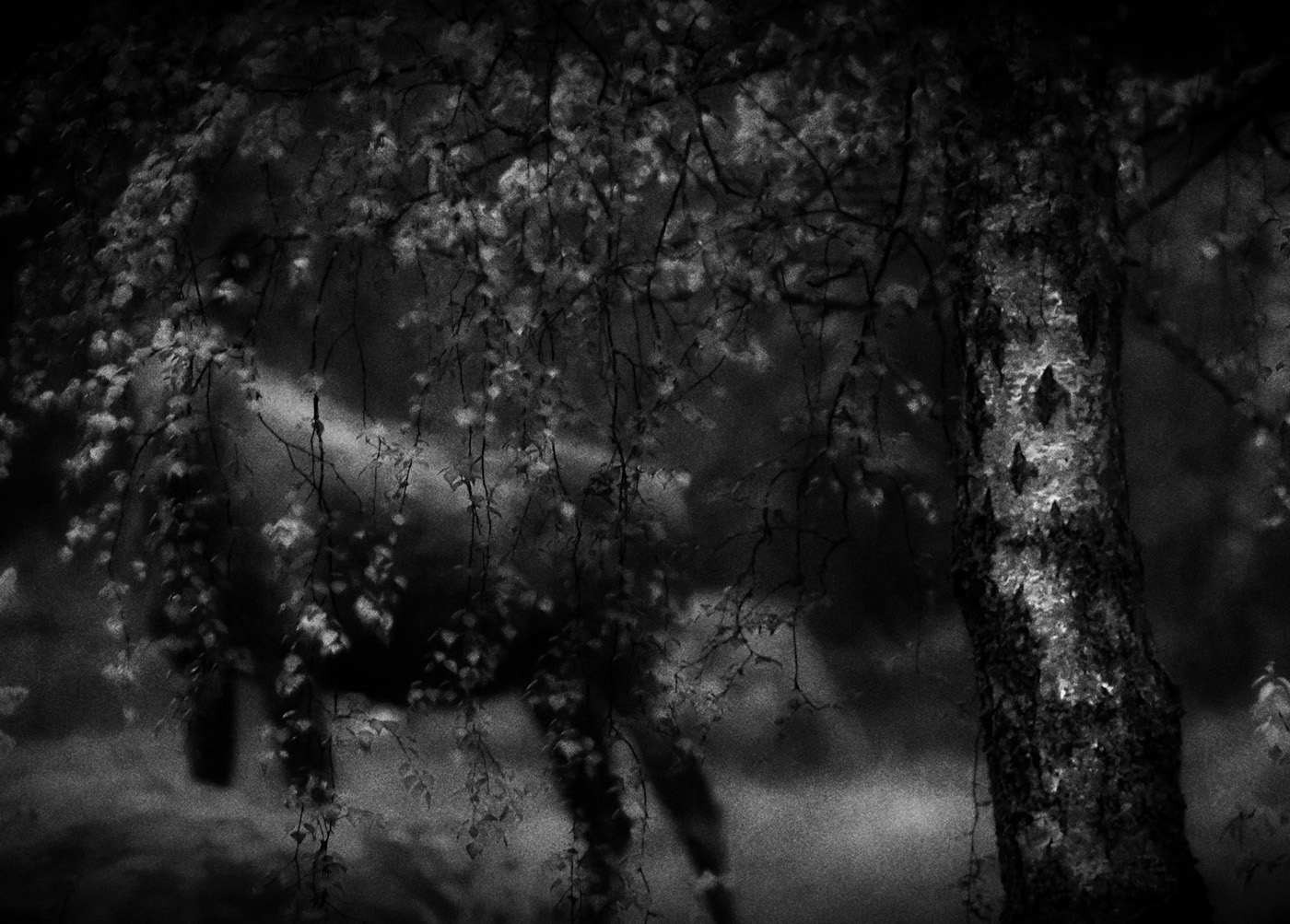 Mats Andersson maj 2018