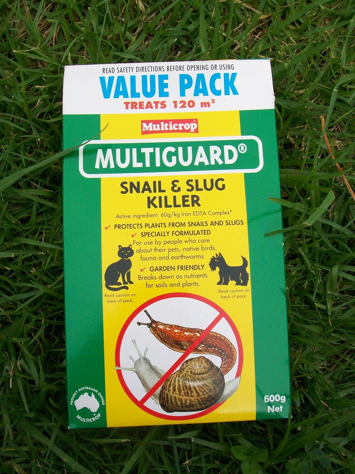 My Abundant Life Growing Broccoli