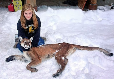 girl shoots cougar made queen of the children of the corn