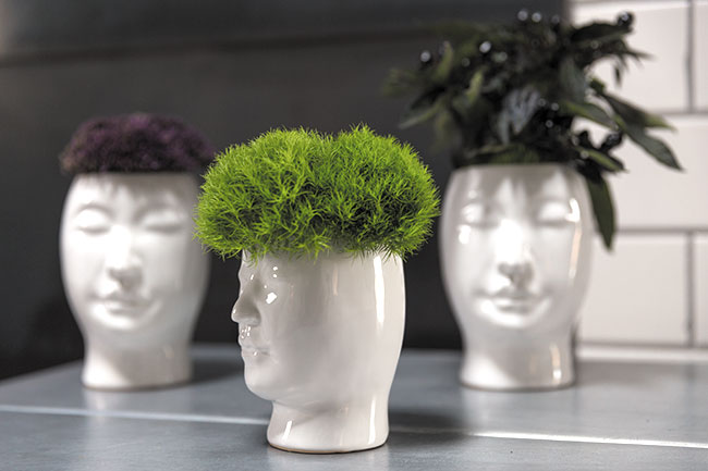 Accent Decor Vases Stop Look February 2016 190 Best Stop Look February 2016