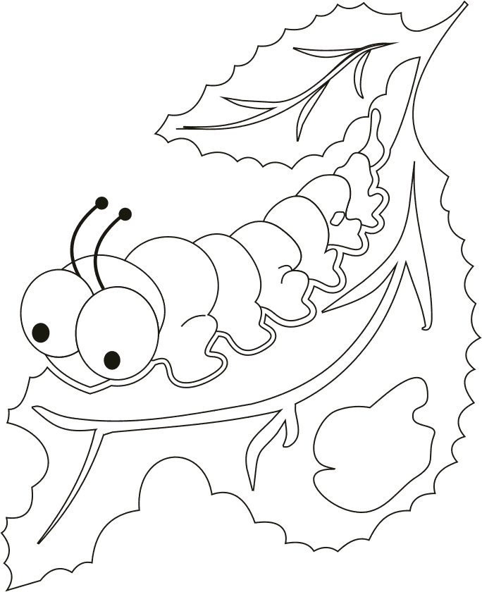 Desenhos de lagartas para colorir QDB