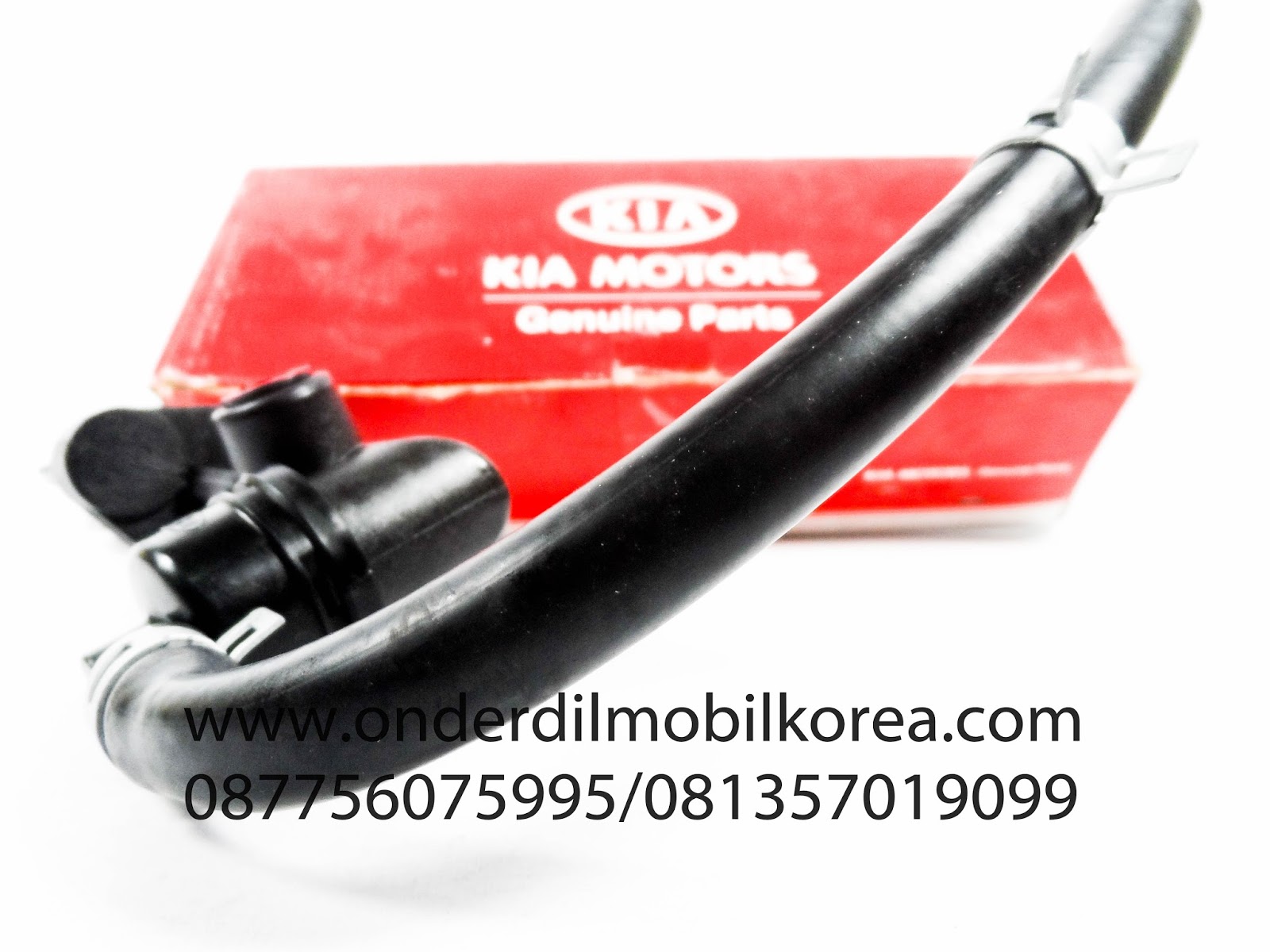 Kia master контакты
