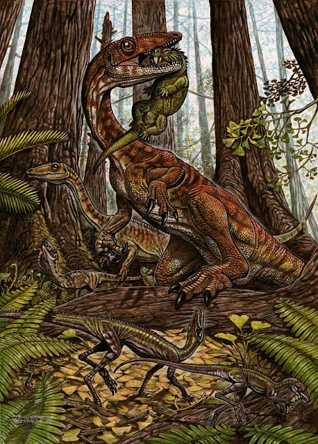 Dinosaurs' rise was 'more gradual,' new fossil evidence suggests Dinosaurs' rise was 'more gradual,' new fossil evidence suggests