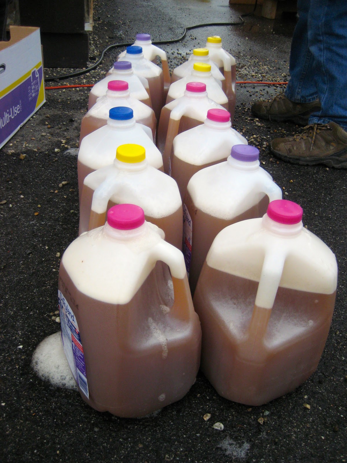 Ms. Liebel's Classroom Apple Juice Making