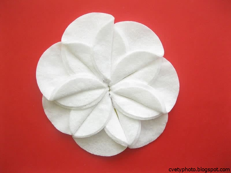 открытка с цветами из ватных дисков. 5 ватных дисков. цветы. поделка из важных дисков. цветы из тампонов ватных.