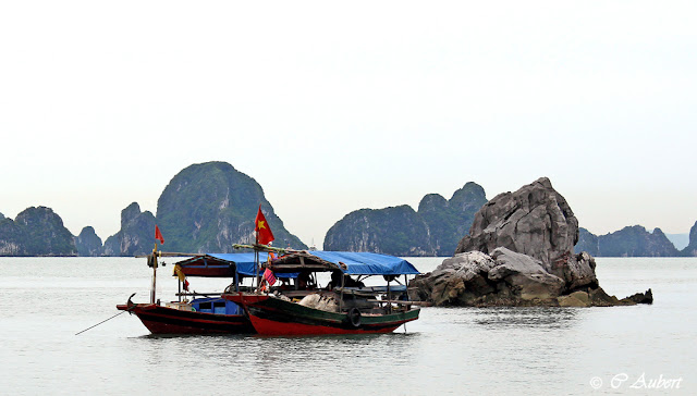 Baie d'Halong Vietnam