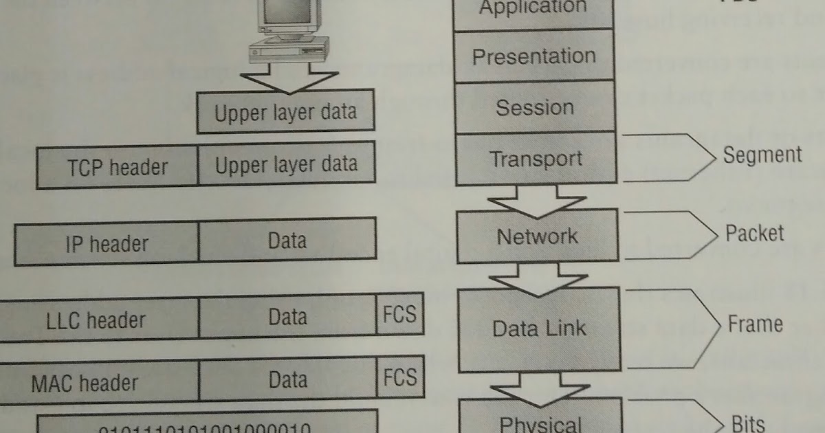 Muridin packet vs frame