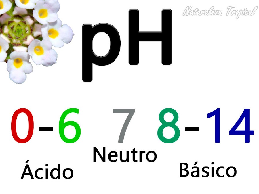 Efectos de la variación del pH del sustrato en la salud de las plantas. Importancia de la evaluación de esta medida en el sustrato del jardín. 