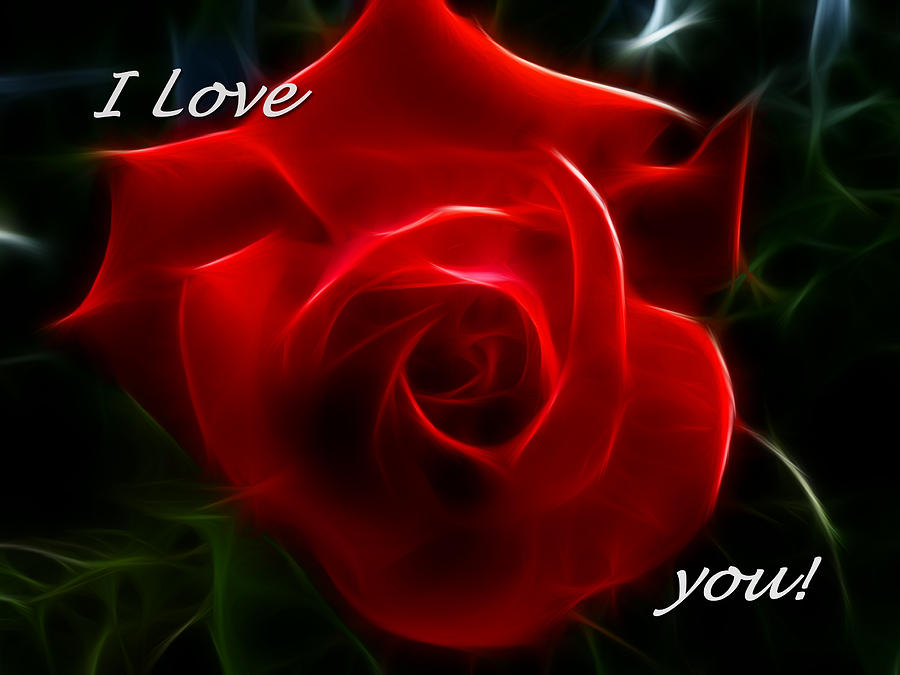 Beautiful I Love You Red Rose Picture
