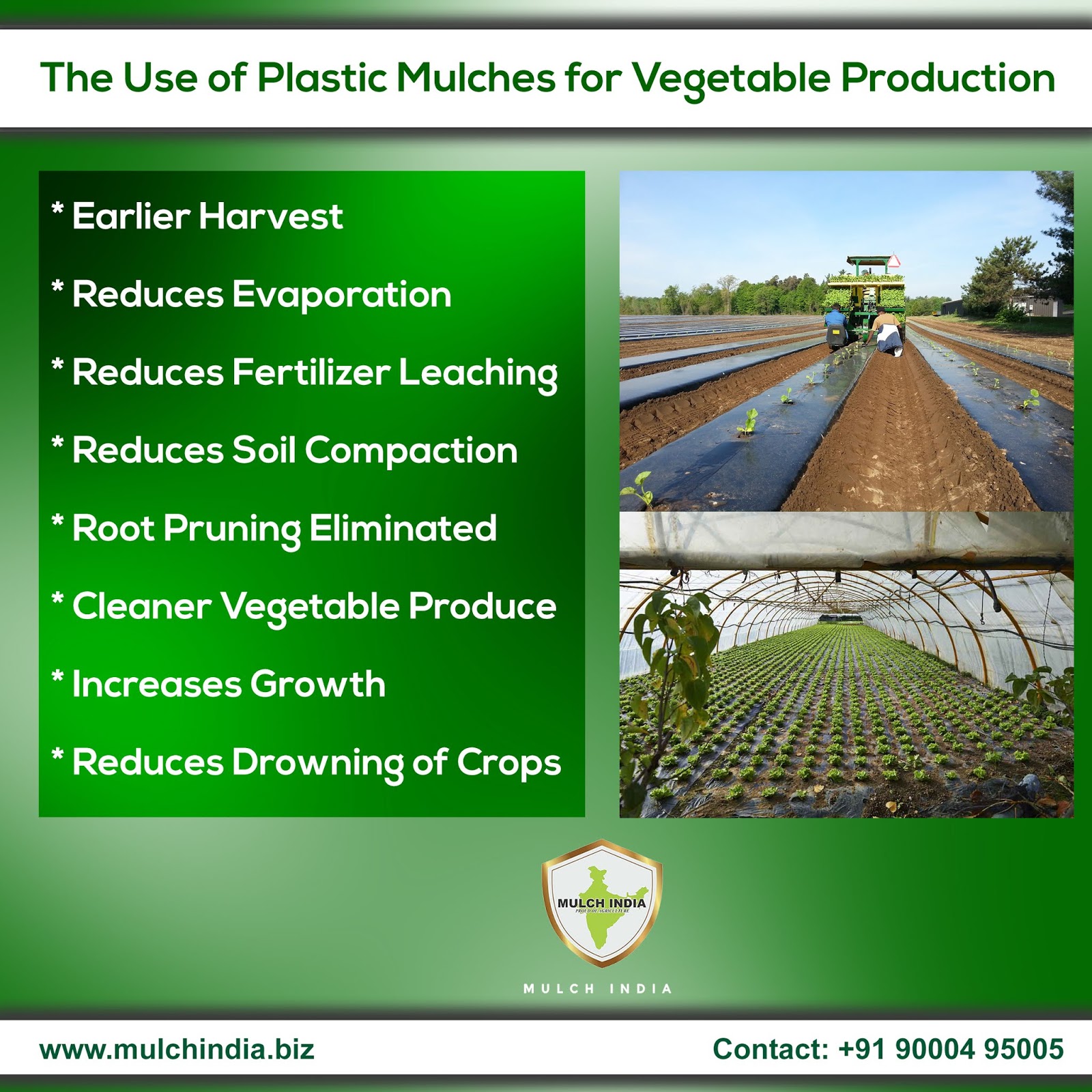 MulchIndia The Use of Plastic Mulch for Vegetable Production Mulch