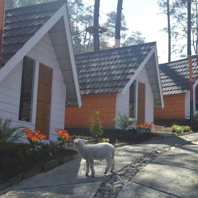 glamping di the lawu park glamping di the lawu park