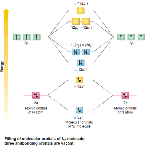 Molecular Orbitals for Homonuclear Diatomic Molecules (MO Theory)