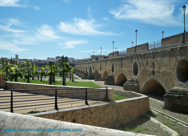 Badajoz Puente de Palmas turismo