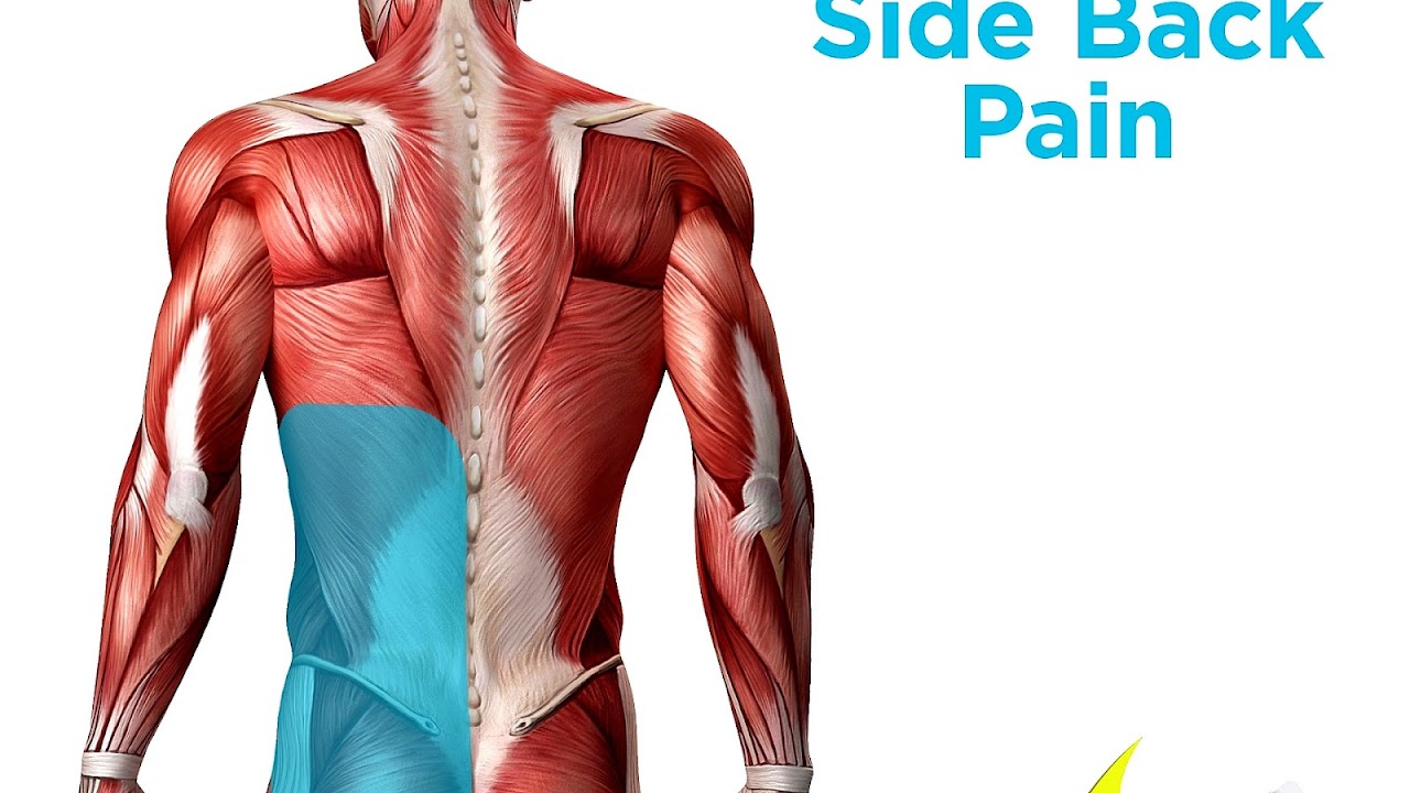 Upper Thigh Injury Injury Choices