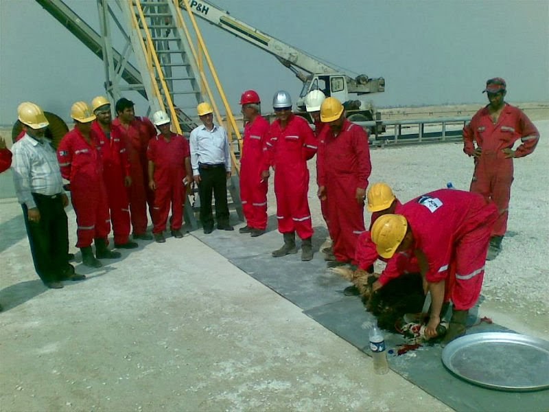 Oil Rig Jobs with No Experience 3 Unique Career Fields among Oil Rig Jobs And Gas Jobs you