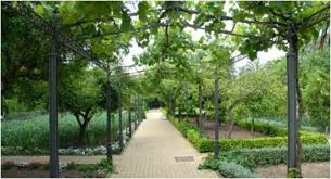 Jardín botánico de Córdoba