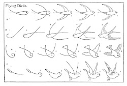 draw birds fairy graphics horse cart via bird easy flying step drawing simple drawings flight things different tutorial way doodle