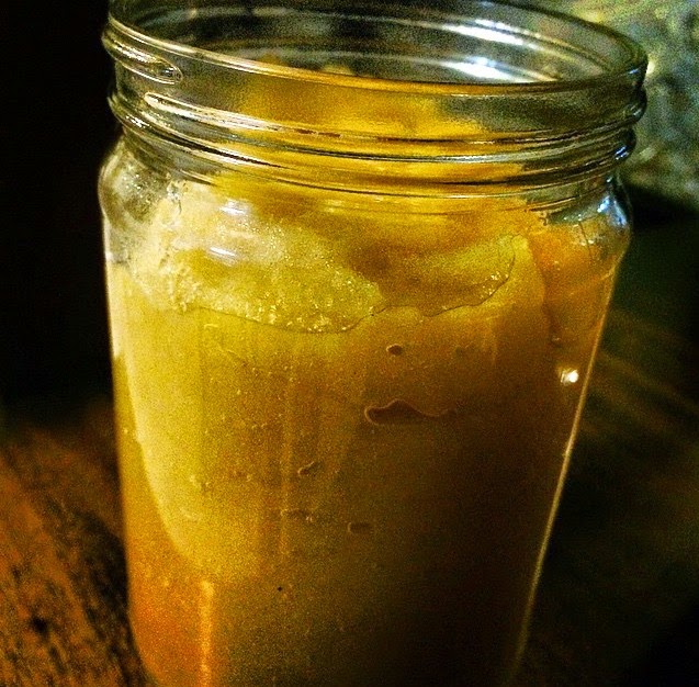 NUTRIÇÃO FUNCIONAL Purê de Maçã Applesauce