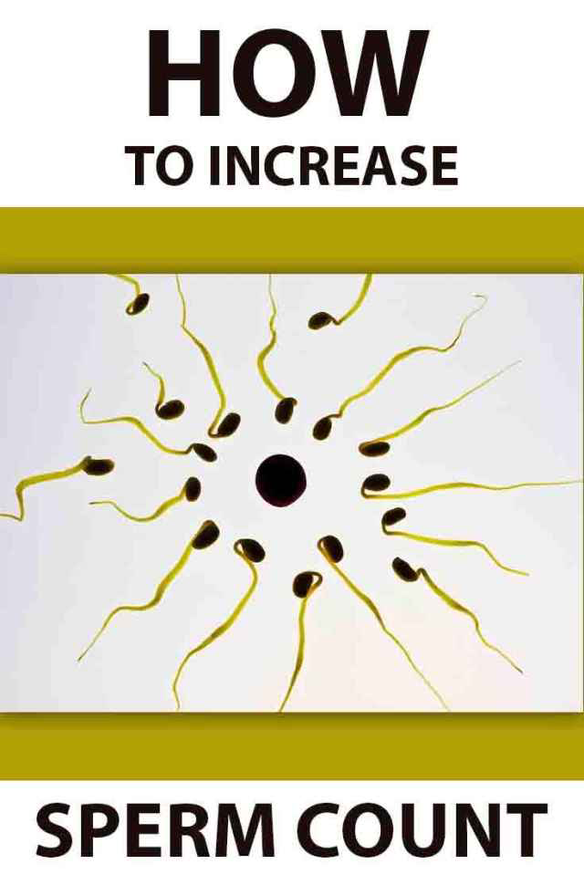 count sperm to icrease How your