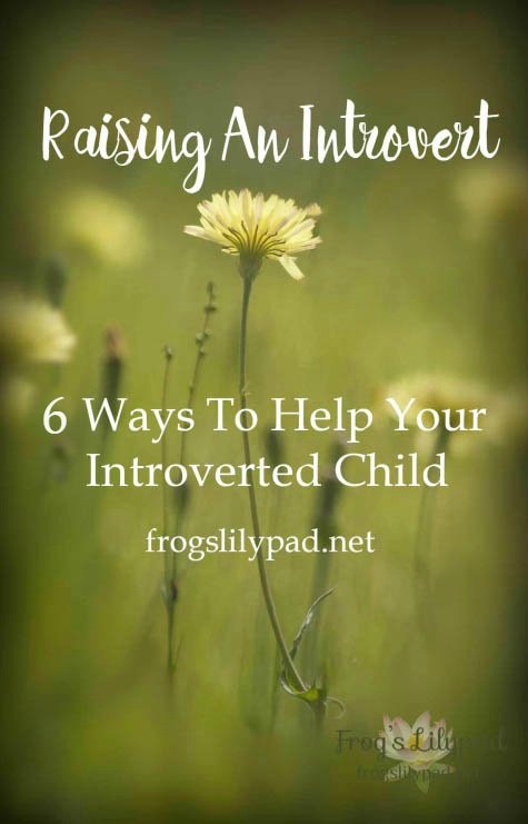 6 Ways To Help In Raising An Introvert: We live in a social, outgoing culture. Being social and the life of the party is not the life of an introvert. frogslilypad.net