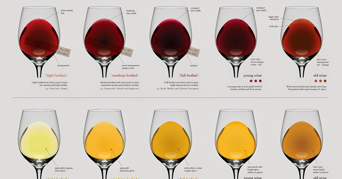 Alison In The Wonderful Wine World : Basic Wine Knowledge