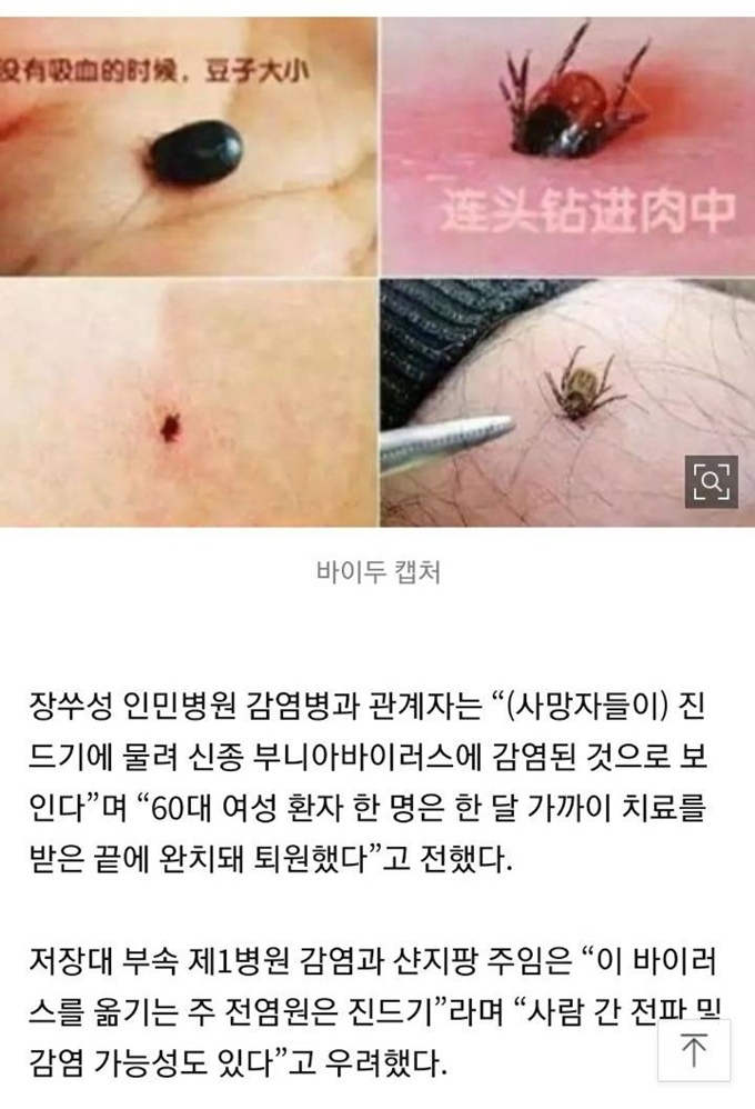이미지에 대체텍스트 속성이 없습니다; 파일명은 c38dd6ad56602298e03792d4e79c1db5.jpg 입니다.
