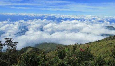 Places In Indonesia Tourists in Ngawi