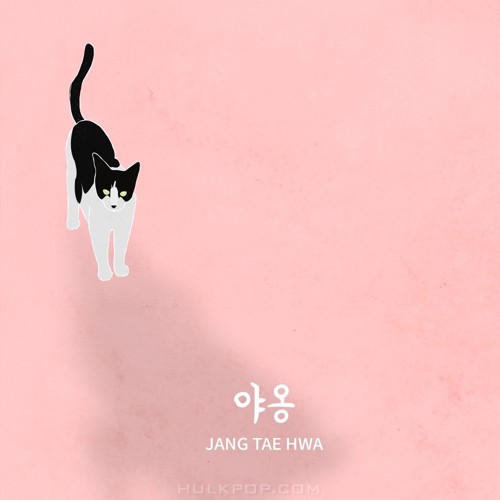 JANG TAE HWA – 야옹 – Single