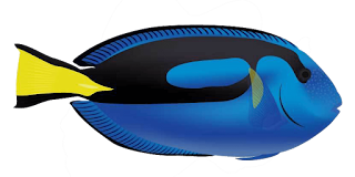 a blue fish that looks like a fish from an animated movie