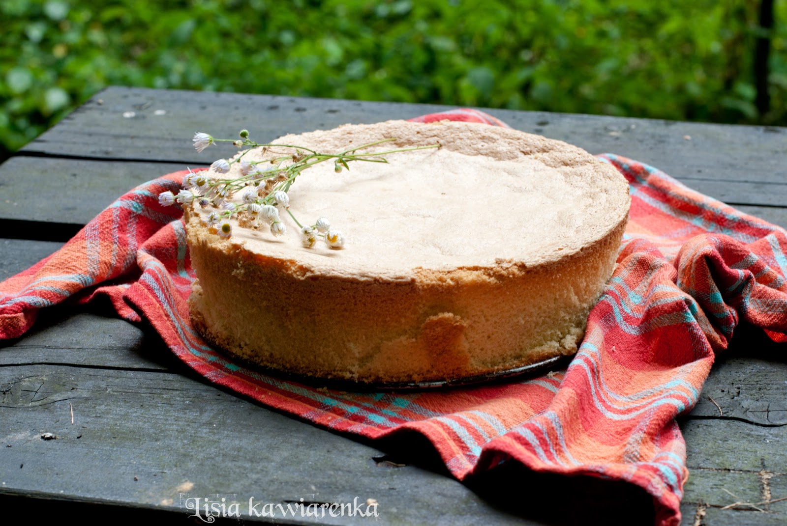 Biszkopt bez glutenu z mąki kukurydzianej i ziemniaczanej