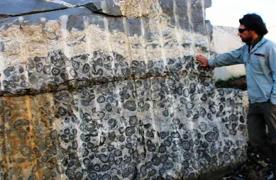 What Is Orbicular Granite?