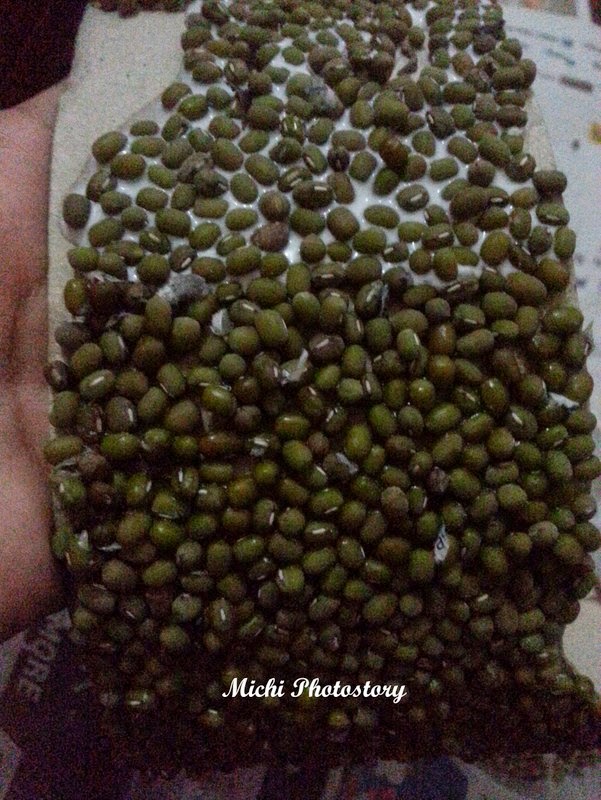 Michi Photostory DIY Nutrition Month Headdress michi-photostory-diy-nutrition-month-headdress