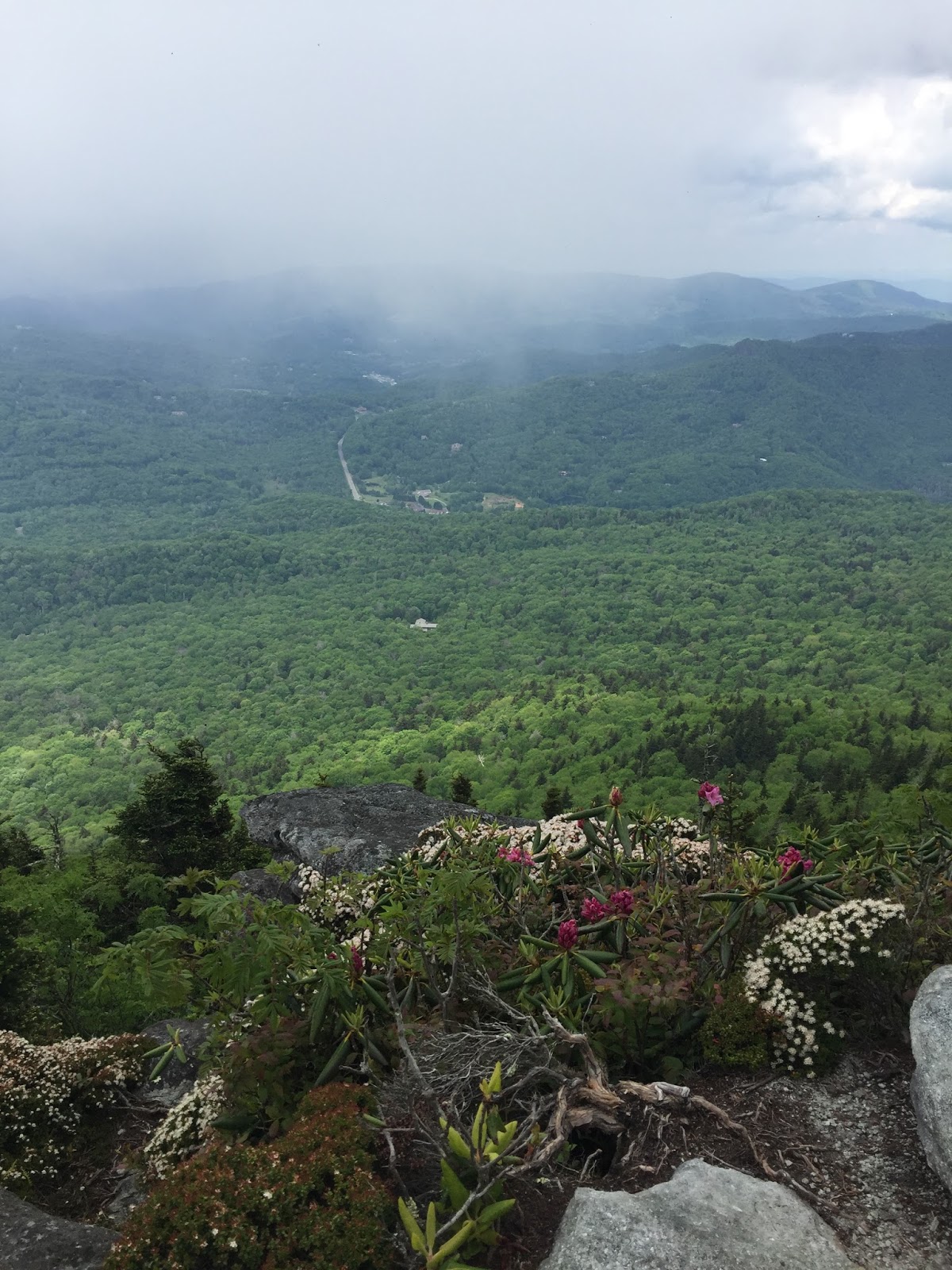 Down the Road Chutes & Ladders Hike on Grandfather Mountain NC