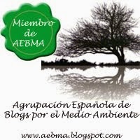 Miembro de AEBMA