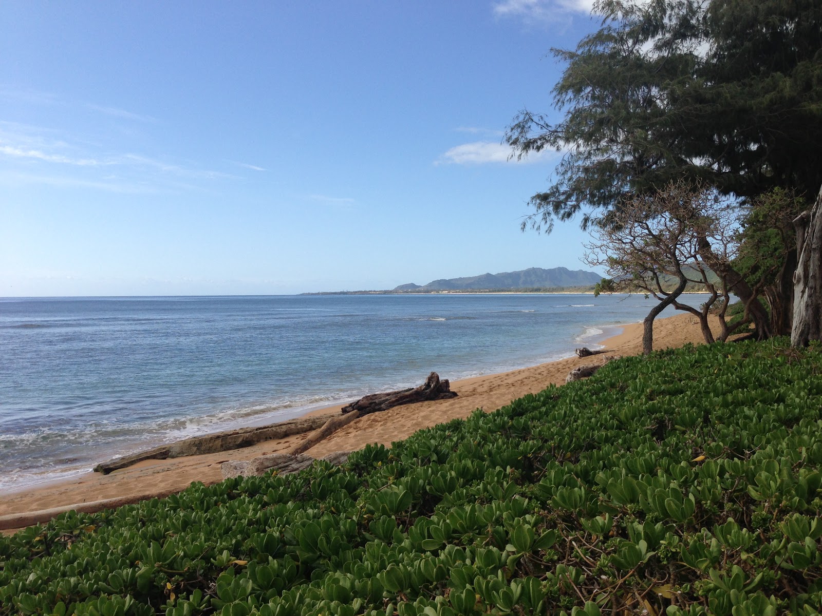 GREAT EATS HAWAII IMAGES OF THE COCONUT COAST KAUAI, HAWAII