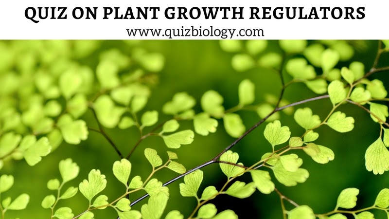 Quiz On Plant Growth Regulators