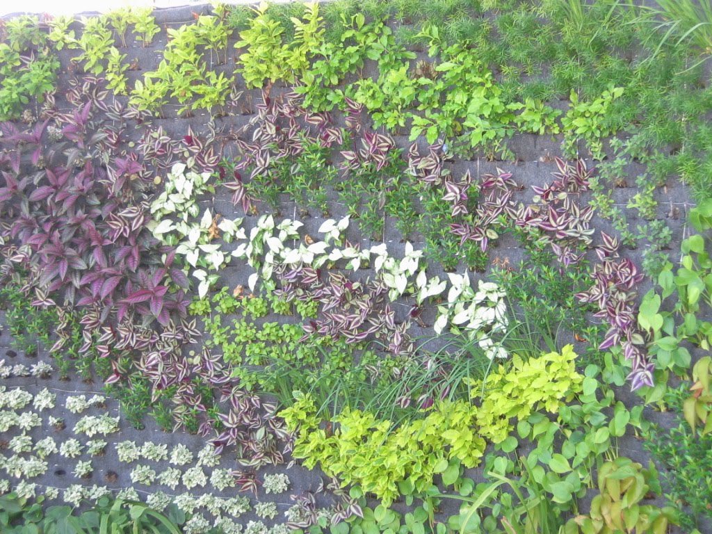 Decor Dreams & Schemes Living Wall Hanging Garden