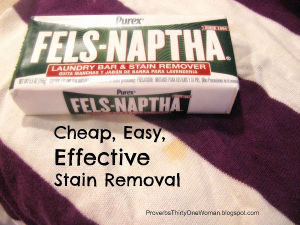 Cheap, Easy, Effective Stain Removal