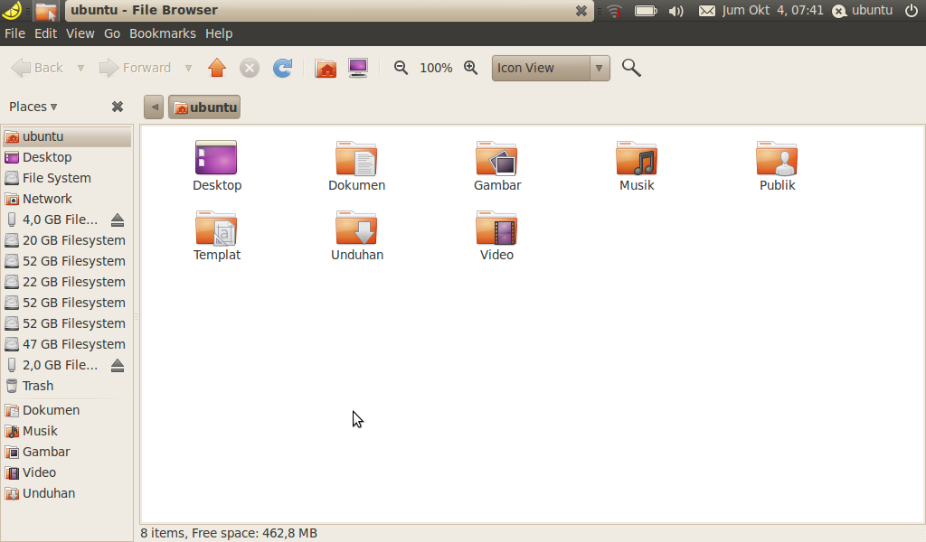 Ubuntu Netbook Edition.