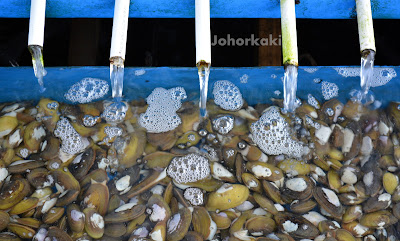 Todak Seafood Restaurant in Johor Bahru Todak-Seafood-Restaurant-Johor-Bahru