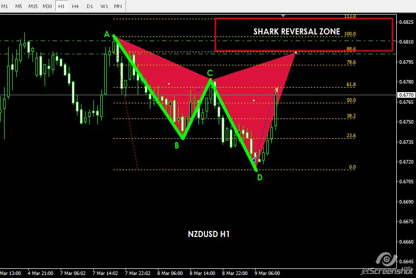 Nine till forever forex