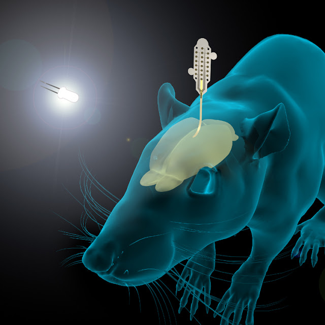 neural-probe-graphene-flexible-Flagship-