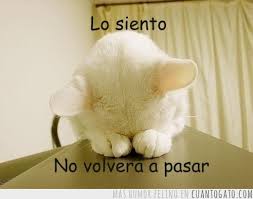No volverá a pasar