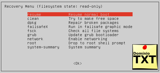 DominioTXT - Resume Normal Boot Ubuntu